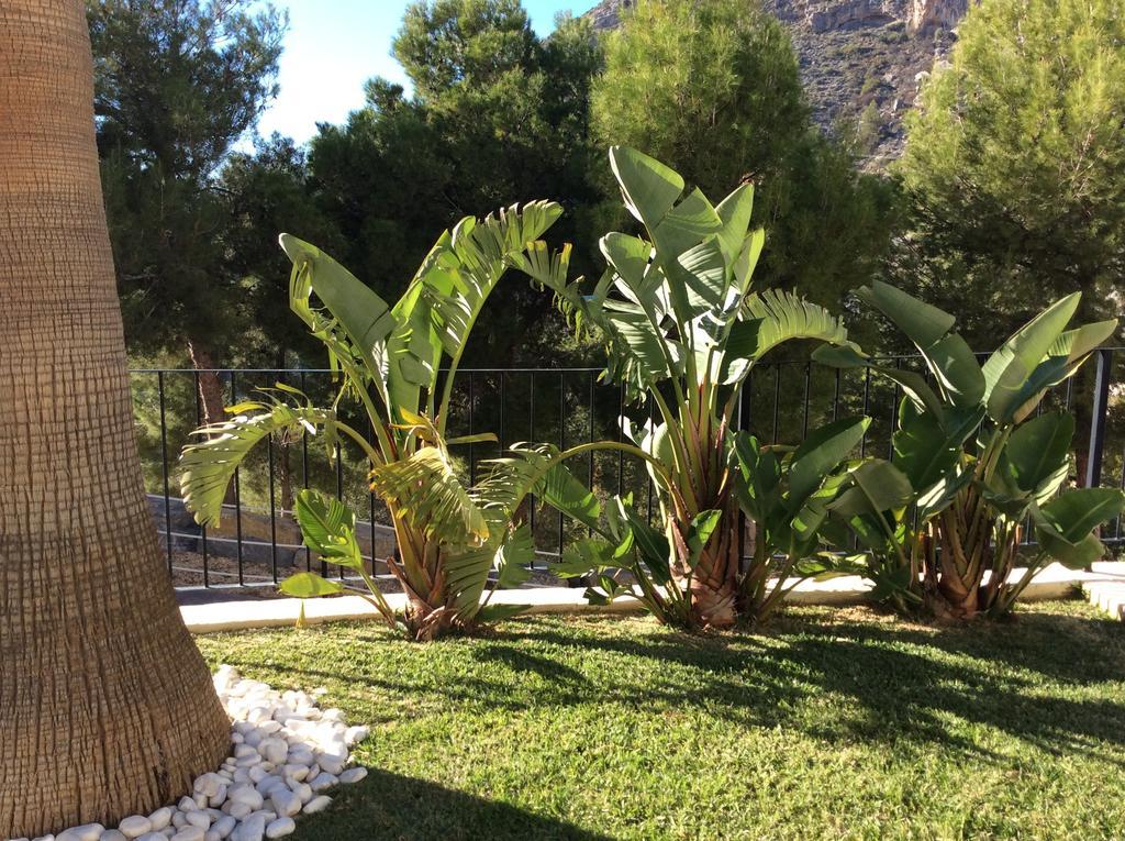 Olivos Holiday Home Altea Phòng bức ảnh